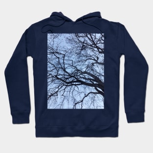 The Tree Sky Photography My Hoodie